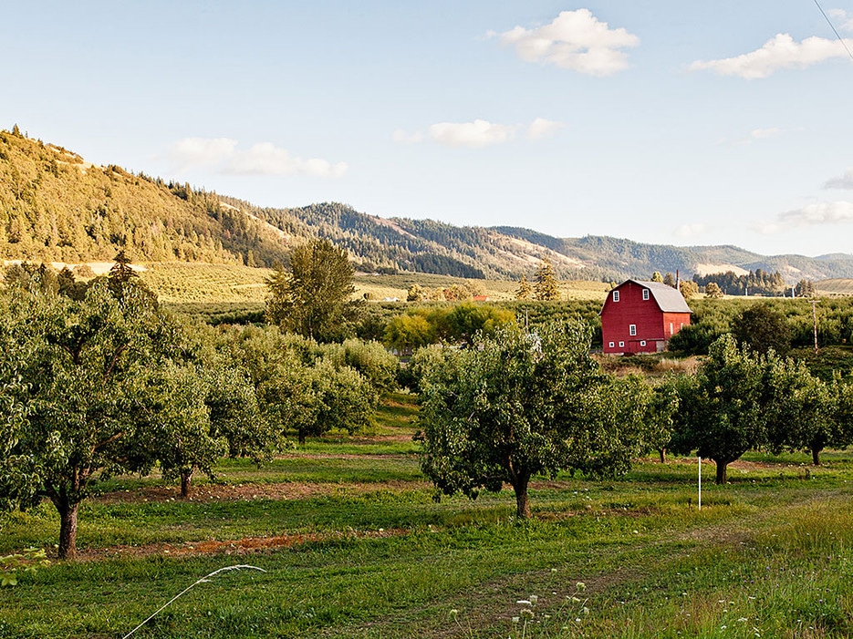 Known for its kite-boarding, the bucolic Hood River Valley, east of Portland, is becoming an agritourism destination.