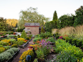 The Herbfarm's model garden of raised beds supplies ingredients for the restaurant’s dishes.