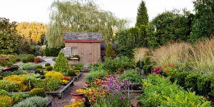 The Herbfarm's model garden of raised beds supplies ingredients for the restaurant’s dishes.